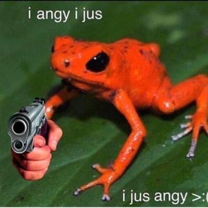 Mang0's Photo