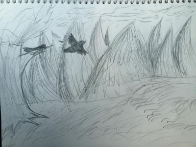 Sketch