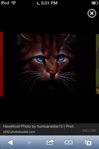 HawkFrost19