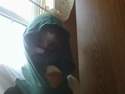 snugle time with my guinea pig after laughing so hard
