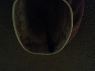 I accidentally left my spoon in my icecream and now it's stuck, frozen XDD