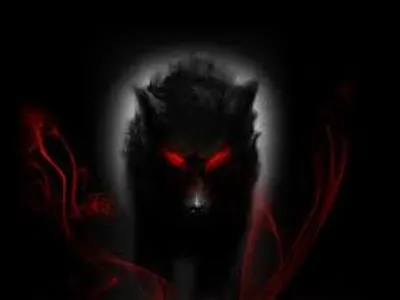 DarkWolf123