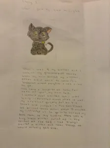 A part of a project I had to do for school