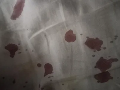 What my nose caused last night at 2 in the morning