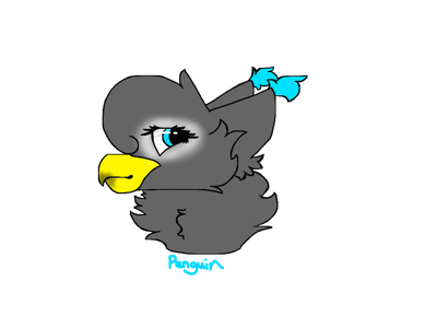 Penguin headshot