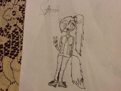 Storm The Fox