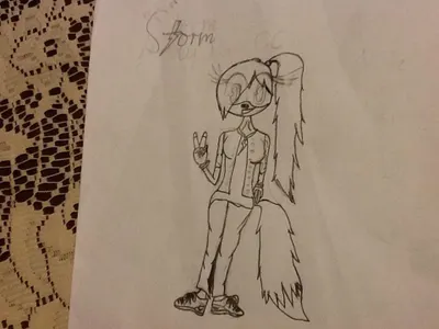 Storm The Fox