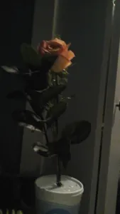 Pretty flower. :3