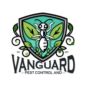 Vanguardeco's Photo
