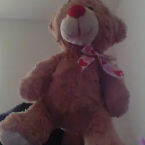 LESBIAN BEAR- *the bow*