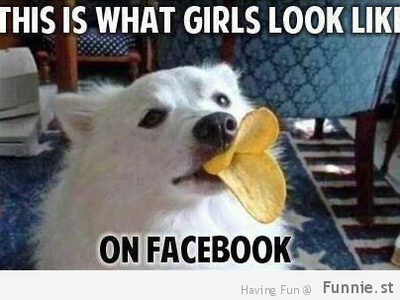 i'm dying of laughter oml