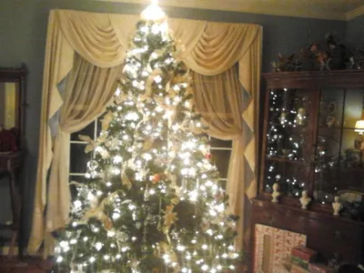 This is my tree! Upload a picture of yours and send me a link to the photo in the comments!