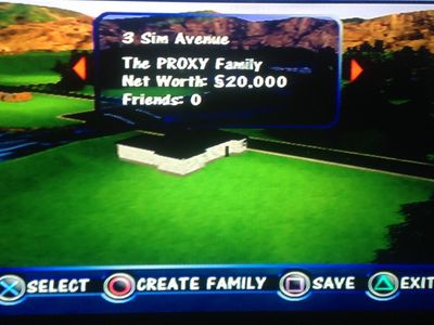 Playing sims!