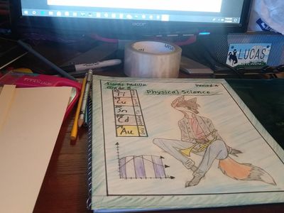 The teacher makes us make notebook covers with certain things that include science. so i did this