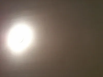 srbtwistt