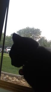 He won't look at me QwQ