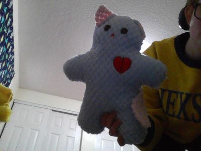 made a cat