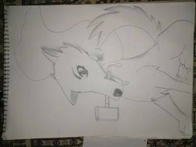 @Applewolf_The_Wolfhumanlover