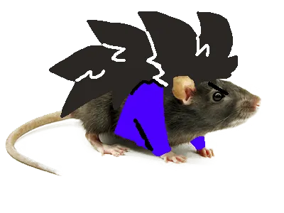 ratroth