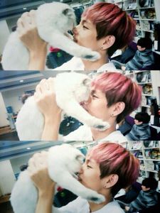 Taekook's Photo