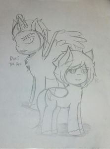 Mlp Seg & Dark.