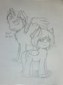 Mlp Seg & Dark.