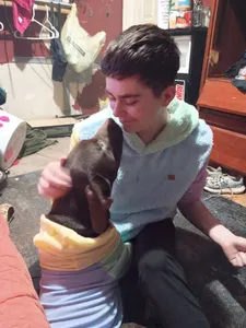 Attack.helicopter's Photo