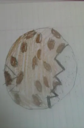 i bite the chocolate chip cookie