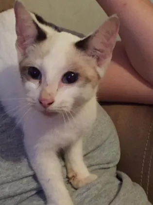 Jasper only lived 1 day after we got him. R.I.P Jasper