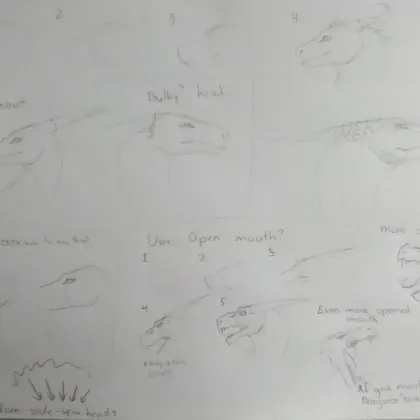How-to:side view dragon head