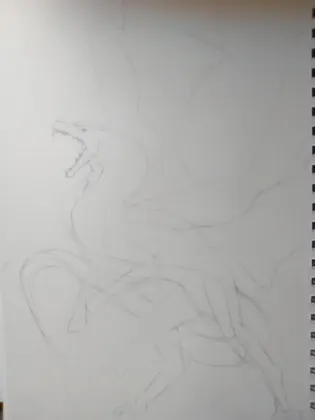 What my sketch looks like in the beginning