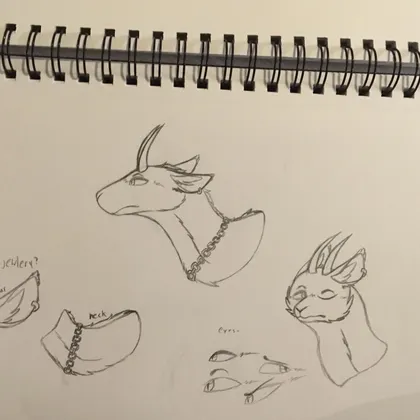 some concepts