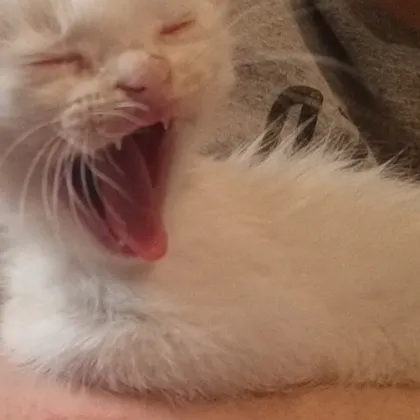 He had a long day