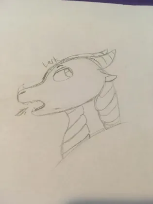 I made,,,a gay skywing