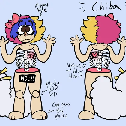 anatomy of chiba 1
