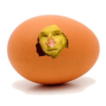 benebeak cumberhatch