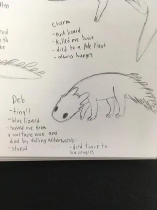 Deb