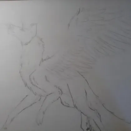 Flying wolf boi