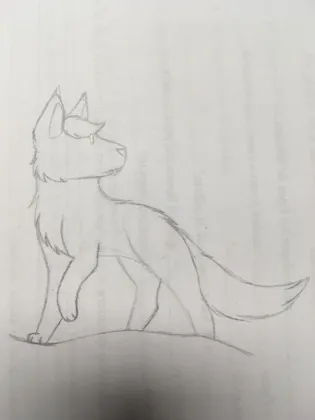 tiny boy
