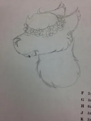1/2