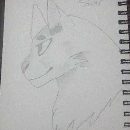 BLUE STAR