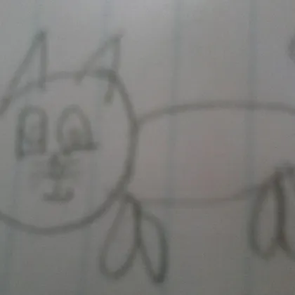 a kitty