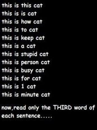 LMAO XD