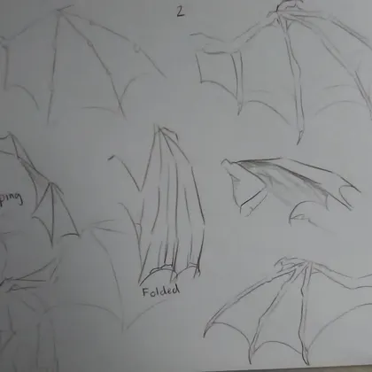 How to: wings
