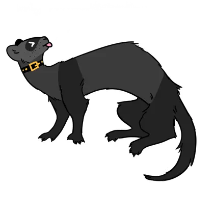 Amaleas ferret Loki