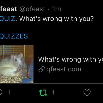 hey um qfeast