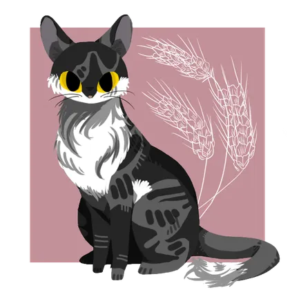 Amalea's cat Dipsi