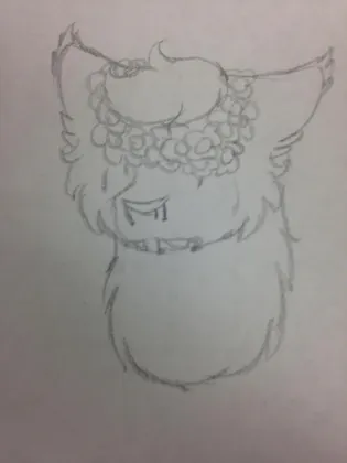 2/2