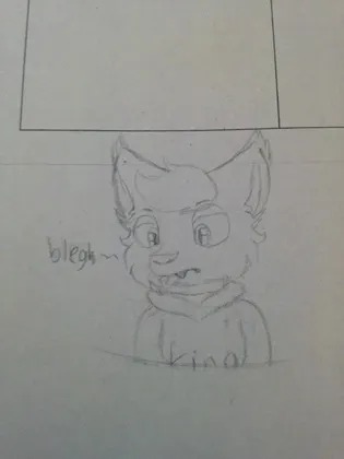 im supposed to be doing math doodle 1