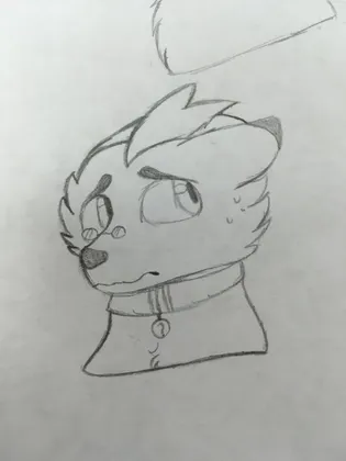 the best boy